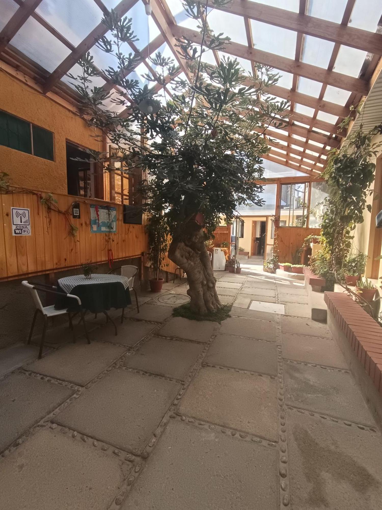 Hostal Julia El Quisco Bagian luar foto